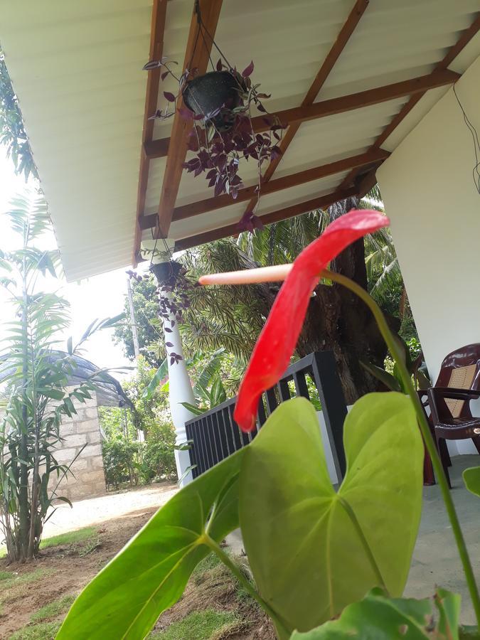 Akila Holiday Resort Habarana Εξωτερικό φωτογραφία